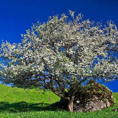 爱游戏全站APP下载下载手机版截图